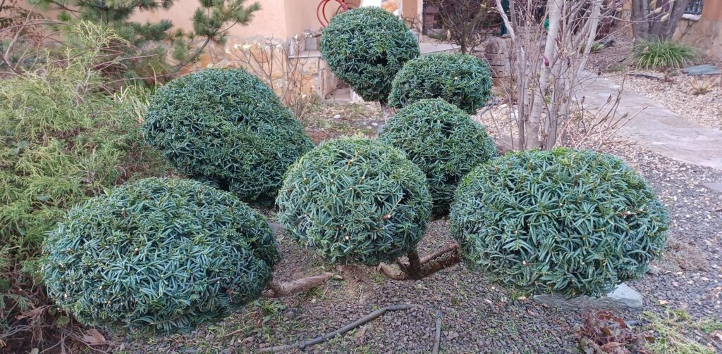 Alakfa szolgáltatások