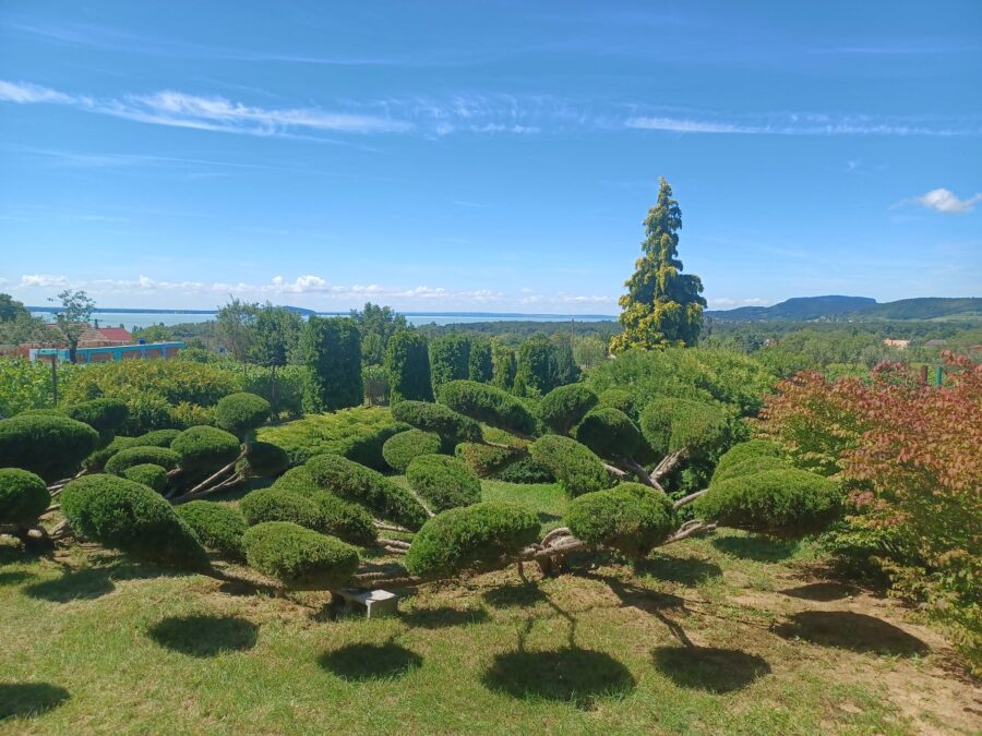 Visszatérés Révfülöpre