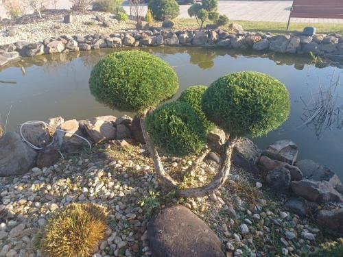 Botóka, Tápiószőlős