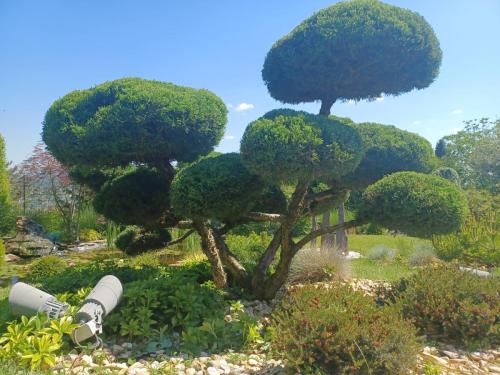 444483833_122134880528251482_4676977552983624322_n