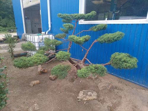 449771901_122143056038251482_397946720952564287_n